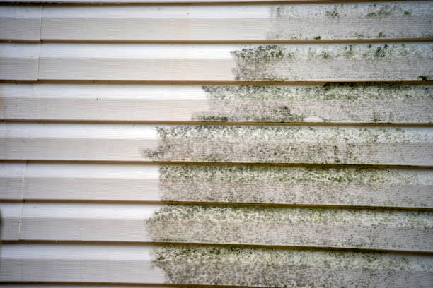 Best Storm Damage Siding Repair  in South Hooksett, NH